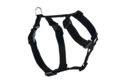 Beeztees Nylon Autogordel 75-100x25 Zwart 75-100x25 Cm