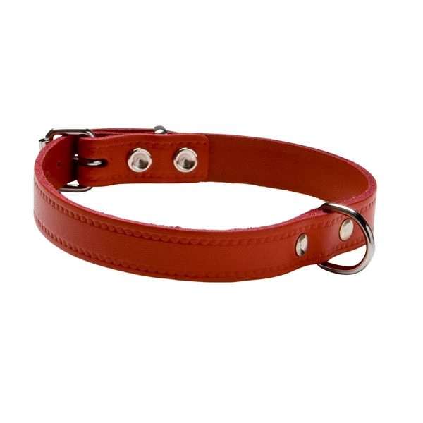 Adori Halsband Leer Met Print Rood - Hondenhalsband - 50x2.0 Cm 1 Adori Halsband Leer Met Print Rood - Hondenhalsband - 50x2.0 Cm