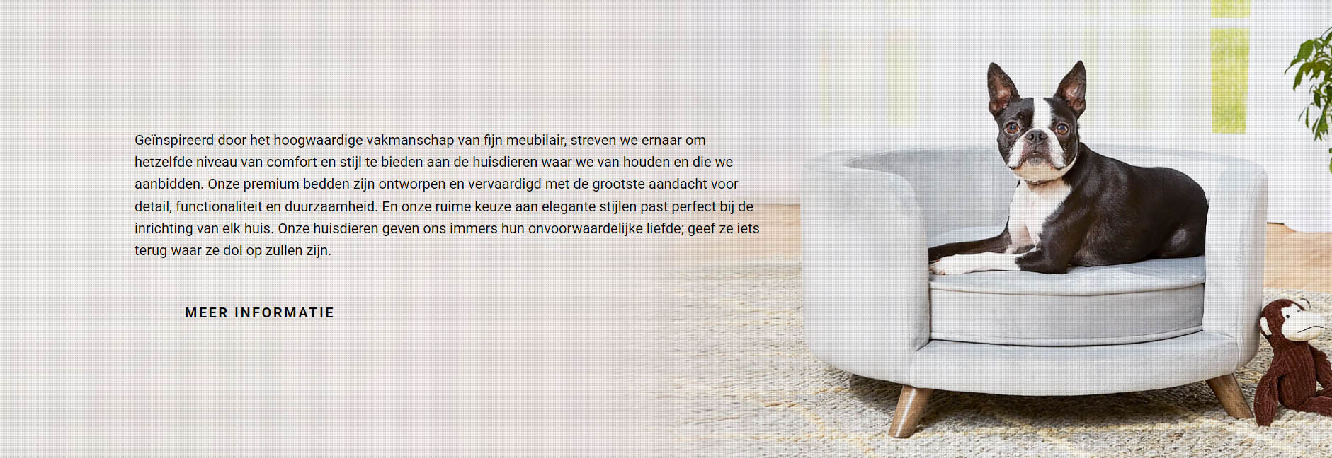 Hondenbenodigdheden Winkel -Hondenbenodigdheden Winkel DFDF