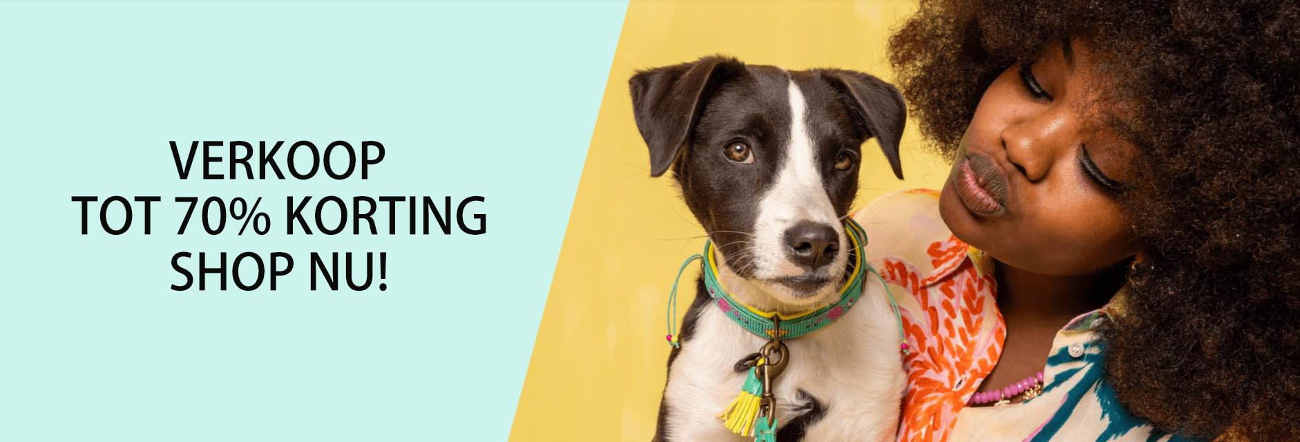 Hondenbenodigdheden Winkel -Hondenbenodigdheden Winkel DFGFG