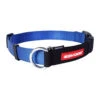 EzyDog Checkmate Halsband - M - Blauw