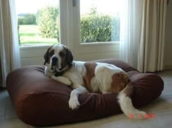 Hondenkussen Chocolade Bruin Small