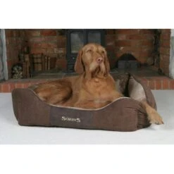 Scruffs Chester Box Bed - Chocolade (bruin) - L -Hondenbenodigdheden Winkel file 151
