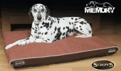 Scruffs Hilton Orthopaedic Large Hondenkussen Bruin -Hondenbenodigdheden Winkel file 168