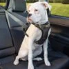 Kurgo Hondentuig Impact Dog Car Harness