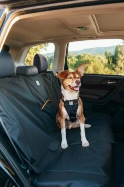 Kurgo Hondendeken Voor De Achterbank Zwart