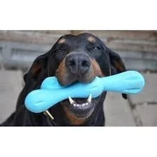 Zogoflex Hurley Dog Bone - Small - Aqua 3 Zogoflex Hurley Dog Bone - Small - Aqua - Afbeelding 3