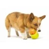 Zogoflex Toppl Treat Toy - Large - Lime