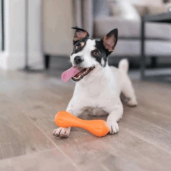 Zogoflex Hurley Dog Bone - Large - Orange