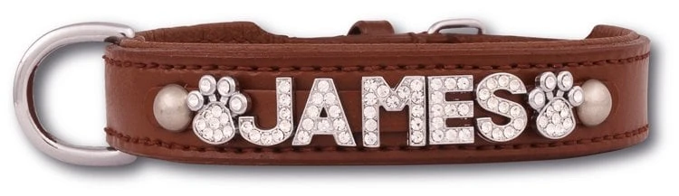 Hondenhalsband Met Naam Large Brown 2 Hondenhalsband Met Naam Large Brown - Afbeelding 2