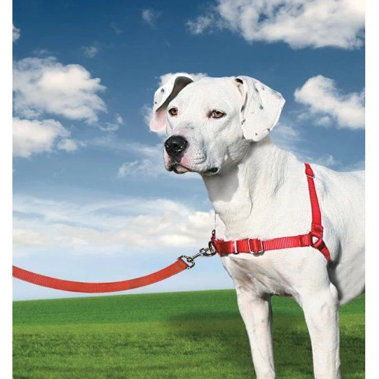 PetSafe Anti-Trek Hondentuig Easy Walk ® Rood 1 PetSafe Anti-Trek Hondentuig Easy Walk ® Rood