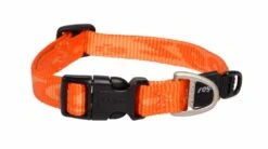 ROGZ Hondenhalsband Alpinist Oranje