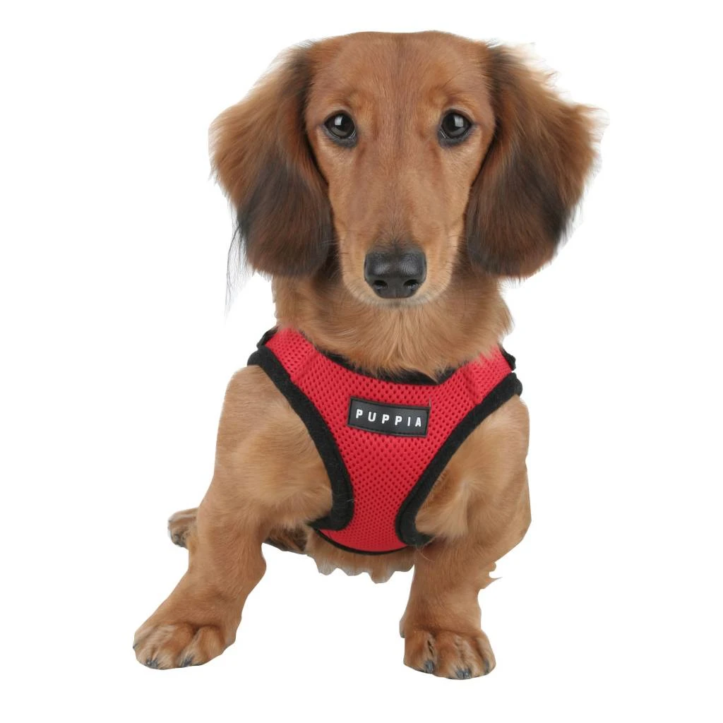 Puppia Soft Harness - XL - Rood 1 Puppia Soft Harness - XL - Rood