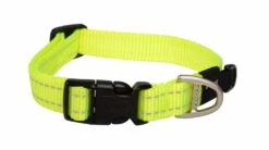 Rogz For Dogs Lumberjack Hondenhalsband Verstelbaar Geel 73 X 2,5 Cm