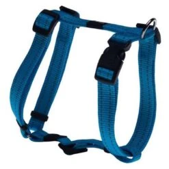 Rogz For Dogs Nitelife Hondentuig Verstelbaar Turquoise 36 X 1,1 Cm -Hondenbenodigdheden Winkel file 410