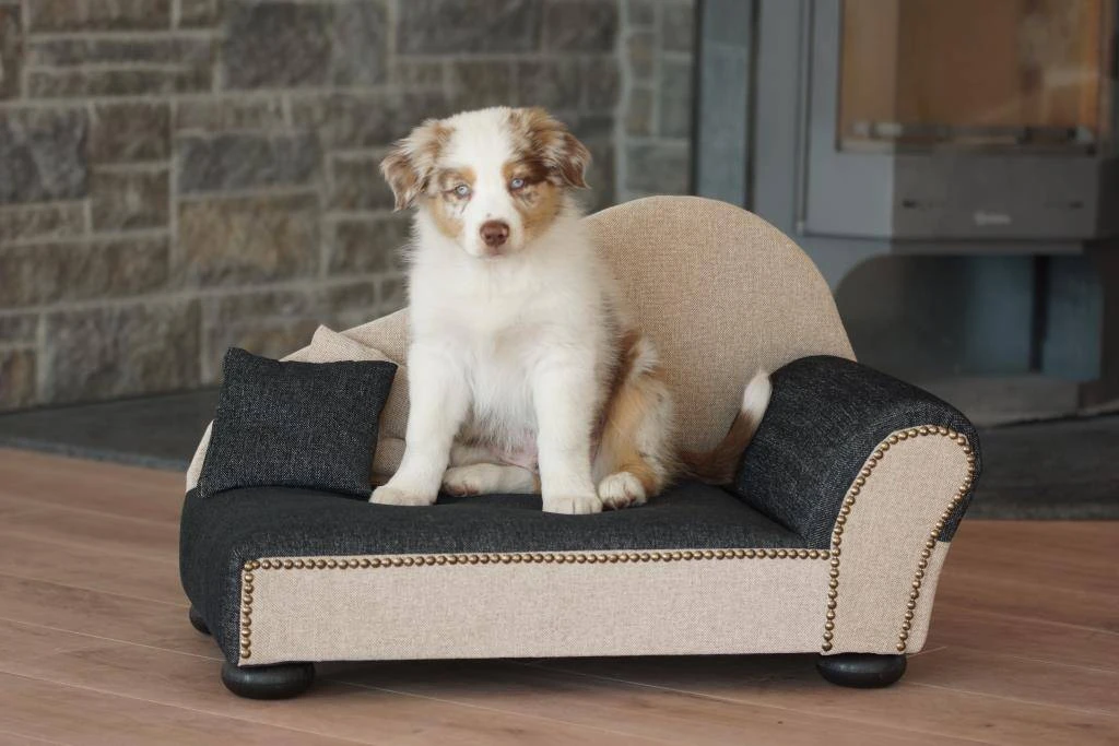 Hondensofa Leroy 1 Hondensofa Leroy