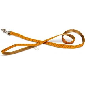 Beeztees Hondenriem Mac Leather 120cm X 20mm Bruin 3 Beeztees Hondenriem Mac Leather 120cm X 20mm Bruin - Afbeelding 3