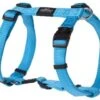 Rogz For Dogs Fanbelt Hondentuig Verstelbaar Turquoise 75 X 2 Cm