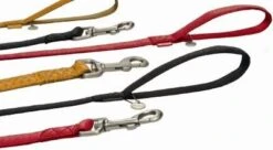 Beeztees Hondenriem Mac Leather 120cm X 15mm Zwart -Hondenbenodigdheden Winkel image 266