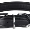 Trixie Halsband Voor Hond Active Comfort Leer Zwart 27-32x2,5 Cm