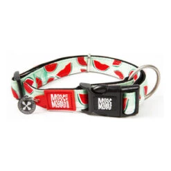 Hondenhalsband Watermelon